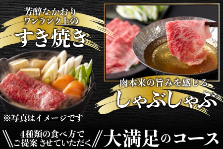 【肉の定期便×12回コース】肉好き大集合！若狭牛食べ比べ 定期便！【福井のブランド牛肉】【4等級以上】[O-054001]