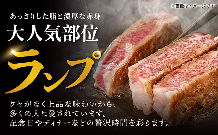 長崎和牛 A5 ランプステーキ 600g(150g×4枚) / ステーキ 長崎和牛 A5ランク 希少部位 / 諫早市 / 野中精肉店 [AHCW035]