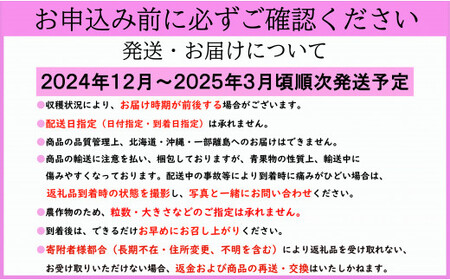 先行予約 いちご とちおとめ 1箱 （約400g） 林いちご園 銚子産 苺 いちご イチゴ ビタミンC 葉酸 食物繊維 朝採れ デザート ミルフィーユ フルーツ ヨーグルト スムージー 千葉県 銚子市