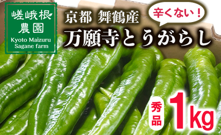【5月中旬～11月下旬発送】 万願寺とうがらし 秀品 1kg 辛くない万願寺とうがらし 万願寺 とうがらし