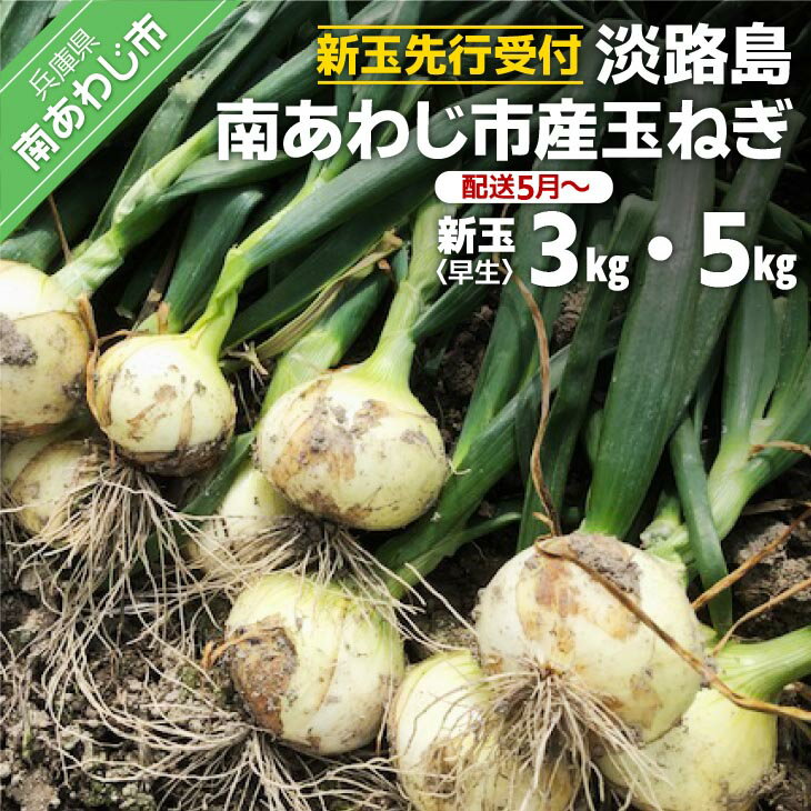 【ふるさと納税】【量が選べる！新玉予約！】淡路島 南あわじ市産玉ねぎ 早生　◆配送5月〜