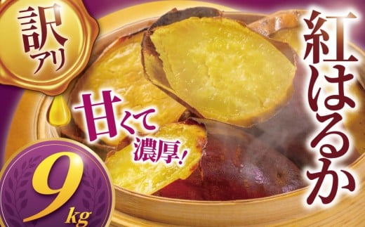 訳あり 紅はるか 9kg 11月以降発送 開始 さつまいも 訳アリ 訳有 サツマイモ 薩摩芋 さつま芋 デザート べにはるか スイーツ 甘芋 スイートポテト sweet potato 蜜 蜜芋 芋 イモ 旬 秋野菜 秋の味覚 おやつ 食物繊維 先行予約 産地直送 農家直送 八〇八 神奈川 湘南 藤沢
