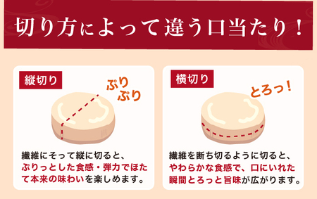 訳あり 不揃い 北海道産 冷凍 ほたて 貝柱 500g ホタテ 帆立 玉冷 魚貝類 北海道産ホタテ 刺身 冷凍貝柱 海の幸 海鮮 海産物 つまみ 