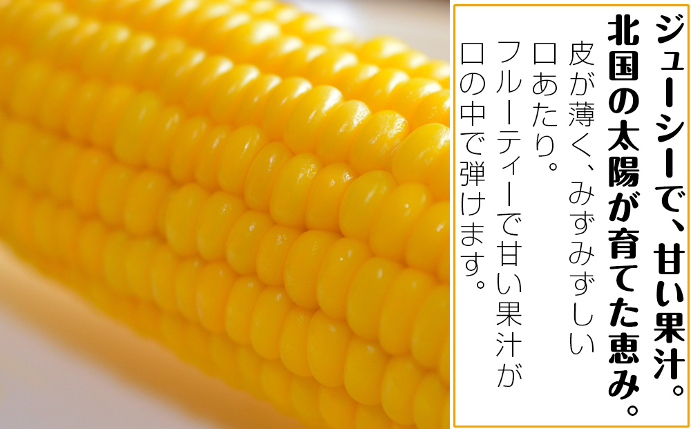 【先行予約】北海道 千歳産 とうもろこし 1本430ｇ以上 10本 恵味シリーズの中からおまかせで1種類 野菜 トウモロコシ 甘い 旬 夏 BBQ ＜ふぁーむあんざわ＞