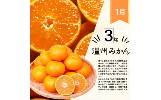 【4か月定期便】旬の柑橘定期便 / みかん ミカン 柑橘 オレンジ 果物 くだもの フルーツ フルーツ定期便 和歌山【tkb416】