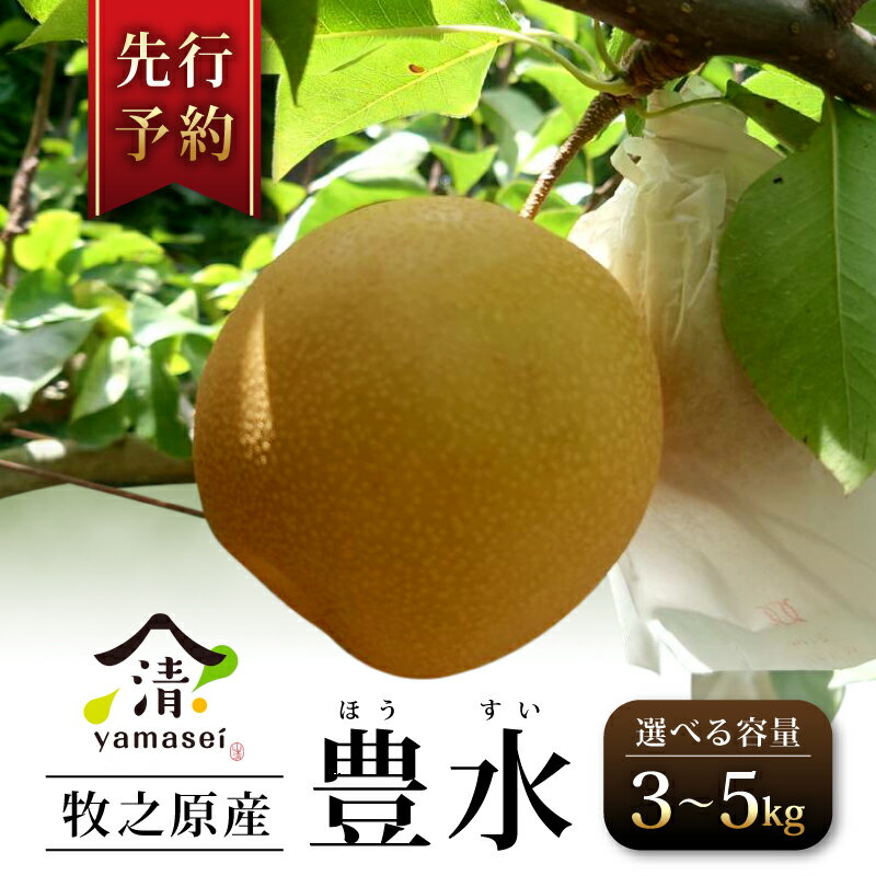 【ふるさと納税】 梨 豊水 令和7年度産 3kg 5kg 選べる容量 先行受付 数量限定 8月中旬より順次発送 フルーツ なし ほうすい 果物 安心 おいしい 国産 山清 yamasei 静岡県 牧之原市