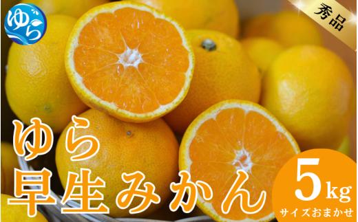 秀品 ゆら早生みかん 5kg サイズおまかせ（2S～L） / 蜜柑 温州ミカン 柑橘 産地直送 由良町 和歌山 ※10月中旬頃より11月上旬頃に順次発送予定【kjen003-r-5】