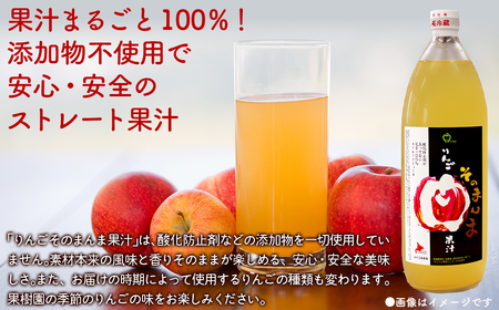 無添加 りんご果汁100% 1L×6本セット りんごジュース ストレート果汁 NAJ001