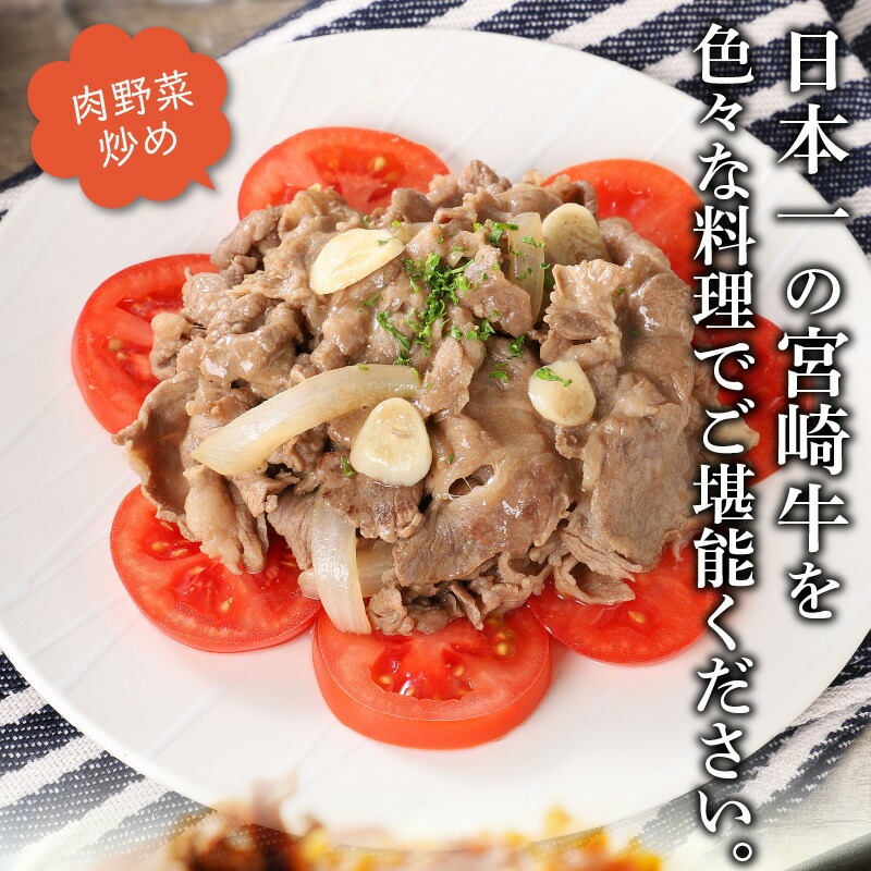 宮崎牛切り落とし1kg N0140-YA5507