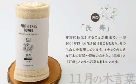 11月「銀杏(イチョウ)」の木言葉 「長寿」 BIRTH TREE TOWEL |  ガーゼ ガーゼ ガーゼ ガーゼ ガーゼタオル ガーゼハンカチ タオル ハンカチ ふわふわ 草木染 染め RYOKU
