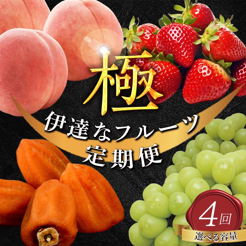 【ふるさと納税】＼選べる容量！／年中受付 福島県産 極・伊達なフルーツ定期便 全4回 大・ミニ 桃 あかつき シャインマスカット あんぽ柿 いちご とちおとめ 定期便 伊達の桃 もも モモ 果物 くだもの フルーツ 国産 名産 食品 F21C-246var