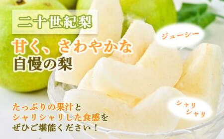 新甘泉と二十世紀梨の食べ比べセット【鳥取県産】３ｋｇ（生橋農園） 鳥取 梨 3kg 果物 フルーツ 和梨 先行予約 数量限定 詰め合わせ 新甘泉 二十世紀梨 20世紀梨