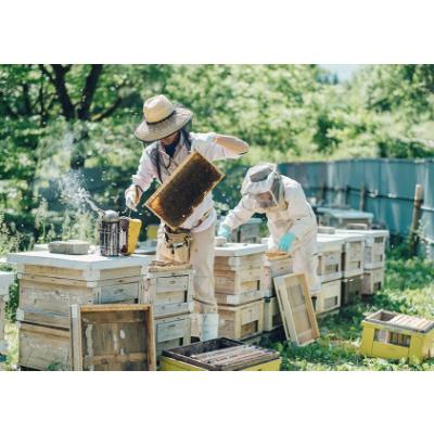 ふるさと納税 能美市 国造ゆずの蜂蜜130g　2本セット |  | 02