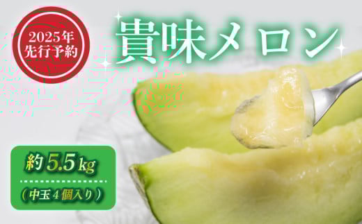 【2025年 先行予約 】 貴味 メロン 約5.5kg 青肉 めろん melon 甘いメロン タカミメロン デザート ジューシー 産地直送 高級 ブランド 美味しい おいしい 糖度 甘い あまい おすすめ 人気 旬 果物 くだもの フルーツ 国産 季節限定 期間限定 数量限定 ギフト 贈り物 贈答 プレゼント 千葉県 旭市 向後メロン園 kug002