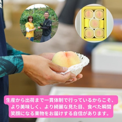 岡山県産清水白桃　5玉・約1.3kg【配送不可地域：離島】