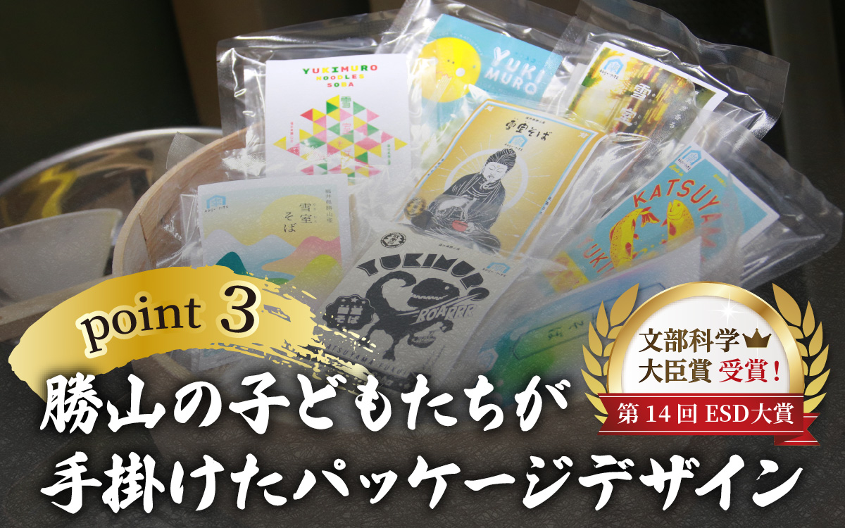 雪室半生そば 2人前（100g/1人前×2個セット） 濃縮だし付 [A-077004]