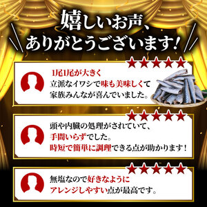 訳あり いわし ドレス 約3kg 無塩 鰯 イワシ