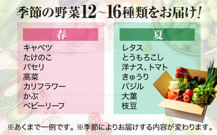 【シェフの目線】栽培期間中農薬不使用！大満足 旬のお野菜セット