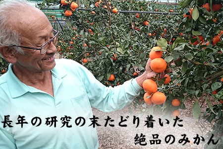 『先行予約』【令和8年1月から発送】吉田みかん園の樹上完熟みかん 10kg 柑橘 ミカン 蜜柑 フルーツ 果物