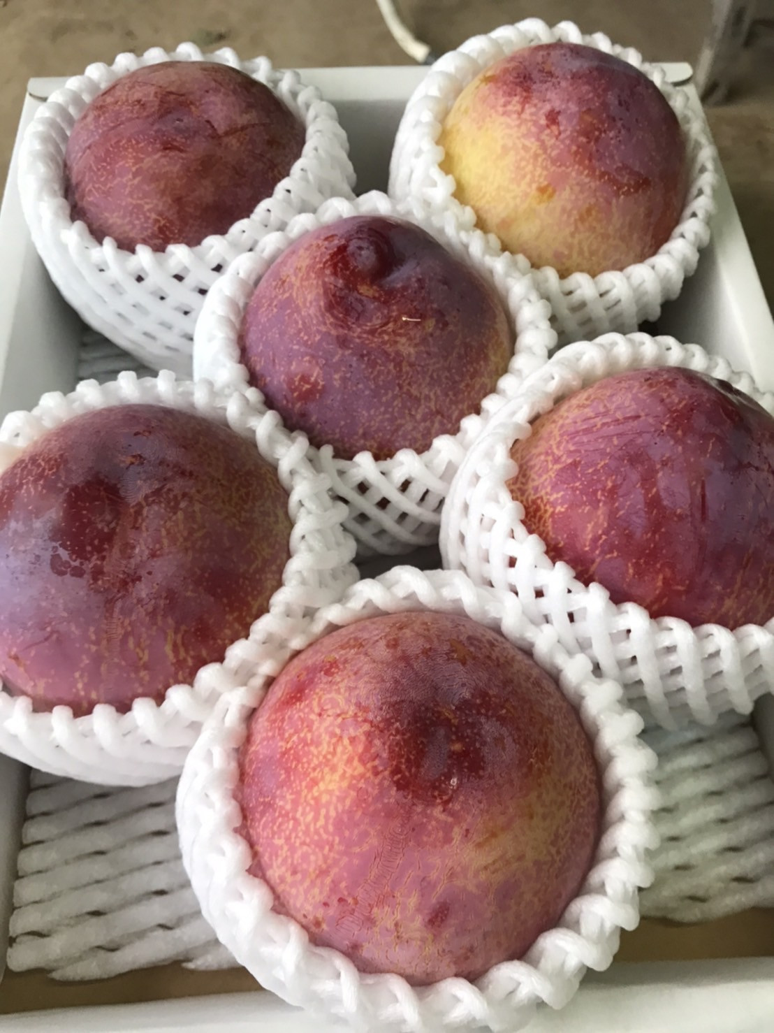 
            【2025年先行受付】 南信州 飯田産 贈答用 高級 すもも 貴陽 約1.8kg | 果物 くだもの フルーツ すもも 貴陽 ジューシー 贈答用 贈り物 プレゼント 長野県 飯田市 信州
          