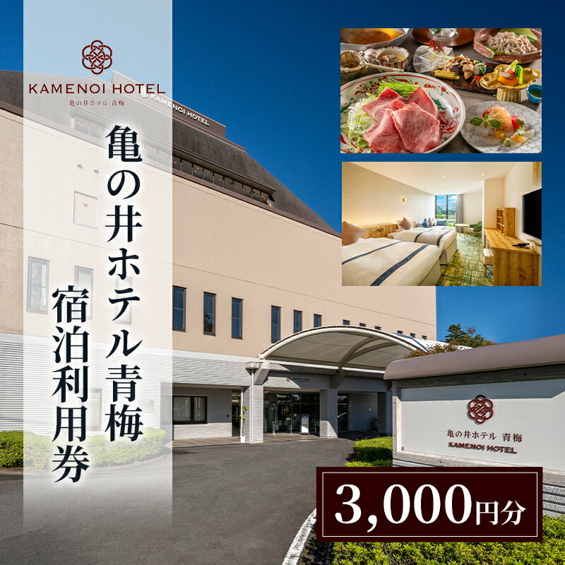 【ふるさと納税】亀の井ホテル青梅宿泊利用券（3,000円分）会席料理 温泉 自然 家族 愛犬 奥多摩 多摩川 森渓リゾート 東京都 青梅市