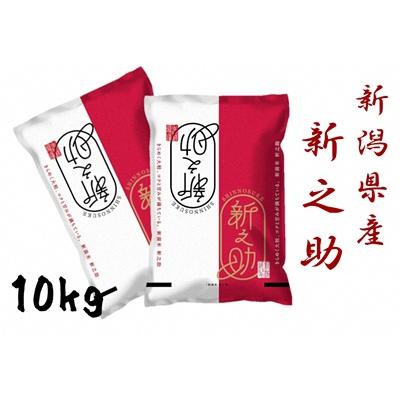 ふるさと納税 阿賀野市 【令和7年産】新潟産 新之助 10kg(5kg×2袋)