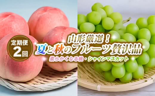 【定期便2回】山形厳選！夏と秋のフルーツ贅沢品(柔らかくなる桃、シャインマスカット) 【令和7年産先行予約】FS24-746