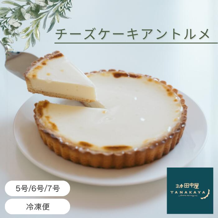 【ふるさと納税】 チーズケーキ アントルメ 選べる 3サイズ 5号 6号 7号 丸安田中屋 | ベイクドチーズケーキ レアチーズケーキ とろける 濃厚 ホールケーキ 冷凍 ケーキ スイーツ 洋菓子 誕生日 クリスマス プレゼント 冷凍ケーキ ホール 長野県 諏訪市 送料無料 [18-010203]