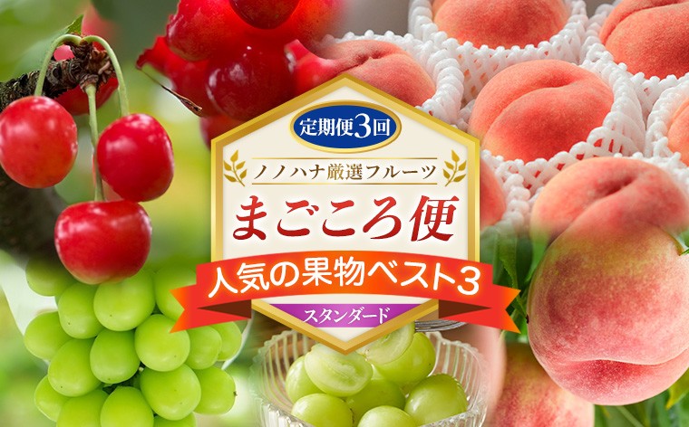 
                  【定期便3回】ノノハナ厳選フルーツ まごころ便 人気の果物ベスト3 スタンダード FY26-218
                