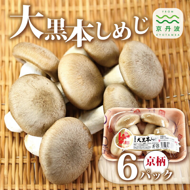 【ふるさと納税】大黒本しめじ京柄 6パックセット （ 国産 京都 きのこ キノコ 丹波 しめじ 食感 シャキシャキ 天ぷら 鍋 炒め物 ） 新生活応援 ※北海道・沖縄・その他離島への配送不可