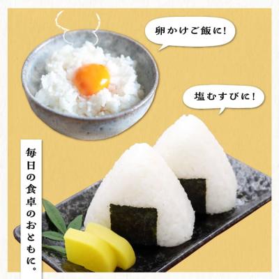 ふるさと納税 糸島市 【月2回お届け】【全24回定期便】糸島産 夢つくし10kg 12ヶ月コース/三島商店[AIM032] |  | 02