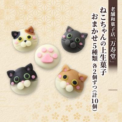 ふるさと納税 羽後町 ねこちゃんの上生菓子おまかせ5種 各2個ずつ(計10個)[No.5325-0438]