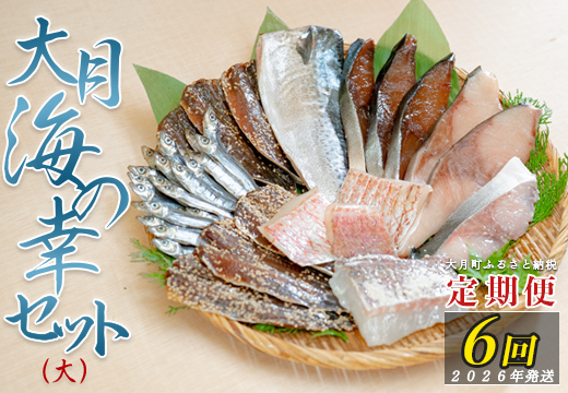 【定期便 6回】大月海の幸セット（大）
