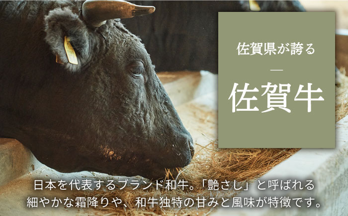 【牧場直送】佐賀牛 食卓にうれしいバラエティ セット（切り落とし 500g＆焼肉用食べ比べ 300g）【有限会社佐賀セントラル牧場】牛肉 [IAH204]