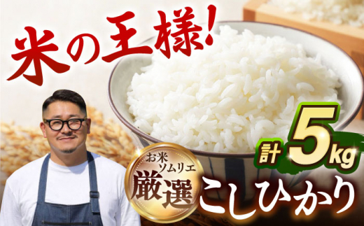 【12月配送】お米 こしひかり 5kg ｜ 長崎県産 米 お米 白米 精米 R8年産 令和8年産 こしひかり コシヒカリ 長崎県 壱岐市 長米壱岐営業所 [JCZ021]