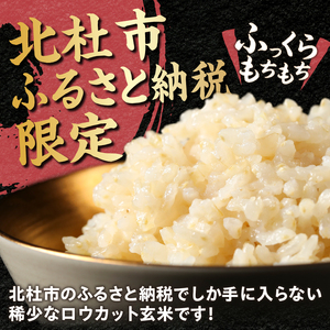 金芽ロウカット玄米特別栽培米農林48号2kg×5