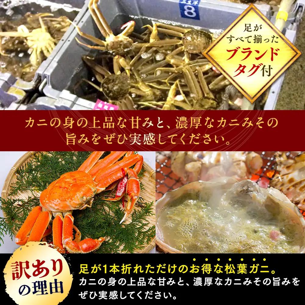 【活】訳あり 松葉ガニ 2枚  　| 松葉 カニ 訳あり活 特大 美味しさに 訳あり 不揃い でないたっぷり ※2026年11月上旬～2027年3月下旬頃に順次発送予定 ※着日指定不可