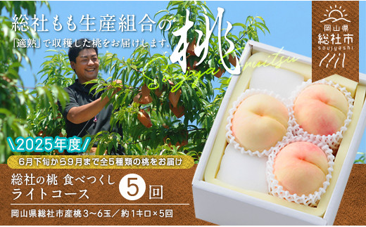 
【5回定期便】白桃 食べつくしライトコース　岡山県総社もも生産組合【2025年産先行予約】25-070-001
