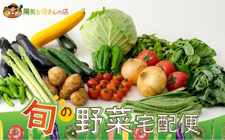 60P3205 旬の野菜宅配便【陽気な母さんの店 】