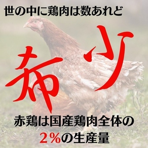 丹波赤どり むね肉 6kg セット（2kg ×3袋）京都亀岡丹波山本《鶏 鶏肉 ムネ ムネ肉 業務用 訳あり 国産鶏 国産鶏肉 京都府産鶏肉 京都産鶏肉 地鶏鶏肉 鶏肉地鶏 鶏肉大容量 大容量鶏肉 鶏