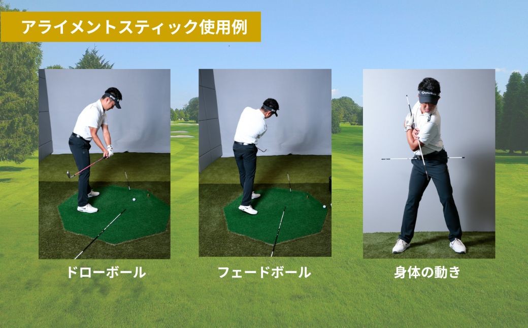 SPEEDER NX GOLD アライメントスティック 2本 ＋ 専用カバー付き