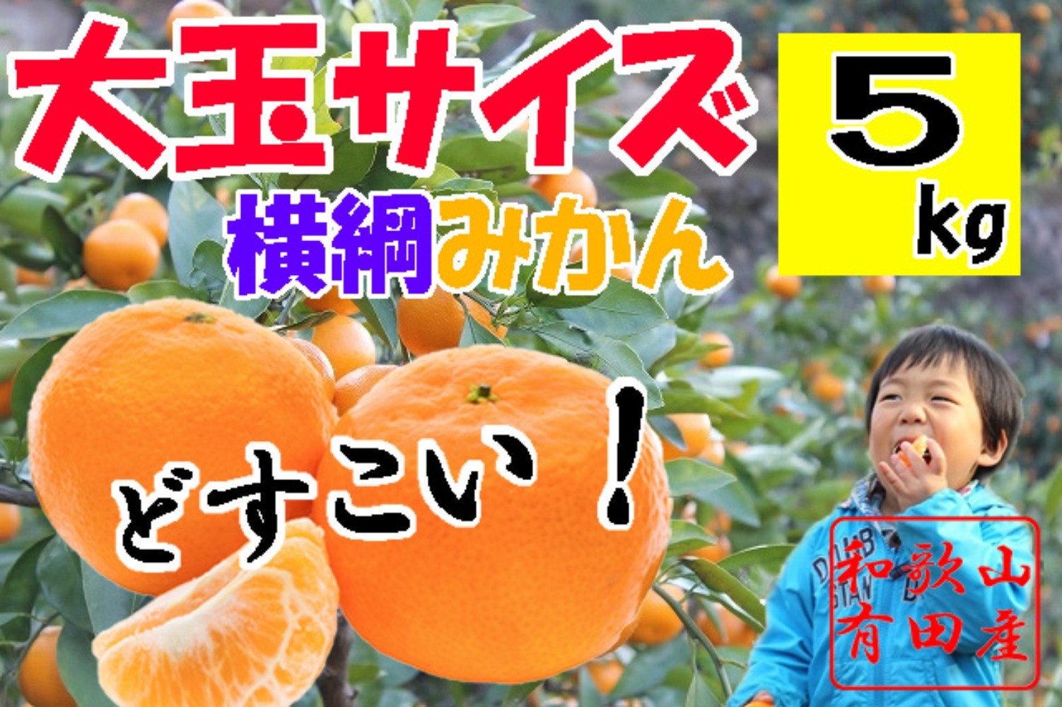 
                  横綱有田みかん 大玉サイズ5kg
                
