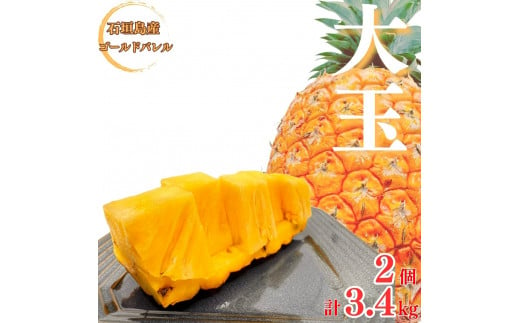 【先行予約】《2025年夏季 順次発送》ゴールドバレルパイン大玉２個入り 計3.4kg 【 産地直送 沖縄 石垣 フルーツ パイナップル パイン ゴールドバレルパイン 】SI-39