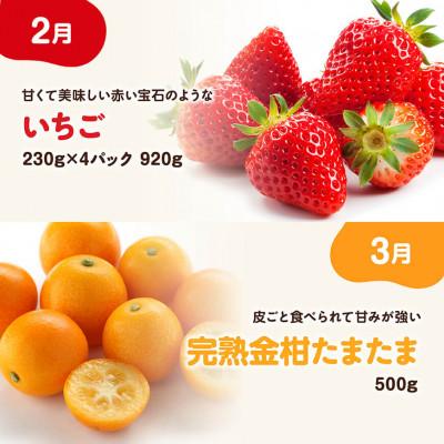 ふるさと納税 川南町 【発送月固定定期便】大人気くだもの定期便Vol.2(川南町)全6回 |  | 01