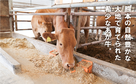ヘルシーな赤身肉を堪能！あか牛ユッケ　7人前						
