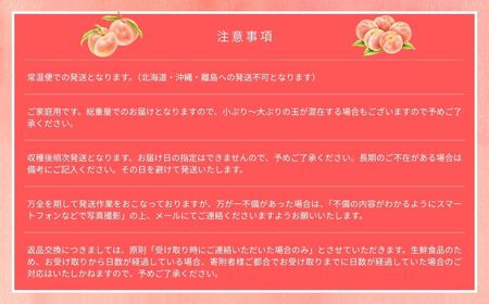 【2025年先行予約】［なんばふぁーむ］岡山県産 黄金桃 4.0kg（11～14玉）［ご家庭用］