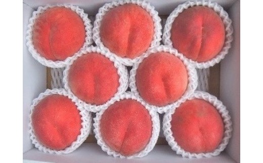 桃（さくら）６～１１玉【３ｋｇ箱に２.７～３.３ｋｇ詰め】　0056-2617