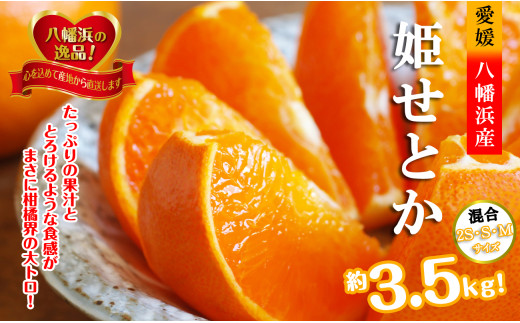 みずみずしい香り・柑橘の大トロ!「姫せとか」約3.5kg＜D39-60＞【1583778】