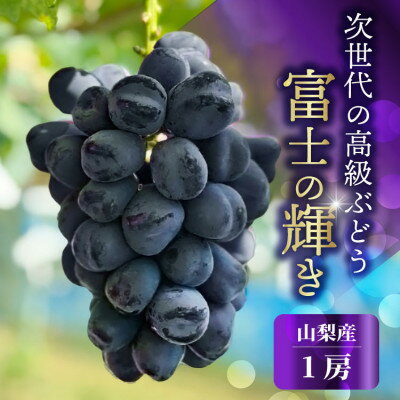 【ふるさと納税】山梨市産 富士の輝き 大粒で高糖度の黒ぶどう 贈答用大房 1房【配送不可地域：離島】【1724534】