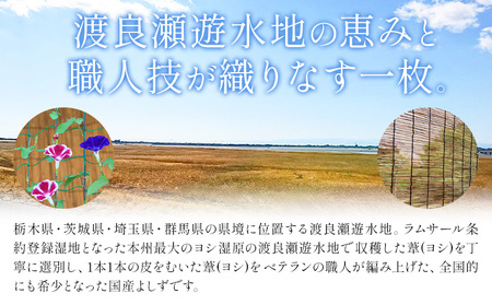 【県指定伝統工芸品】渡良瀬遊水地 よしず 6尺×6尺(約180cmx180cm) 栗田商事株式会社 《30日以内に出荷予定(土日祝除く)》 栃木県 野木町 ヨシズ 葦 ヨシ 野木ブランド 栃木県伝統工